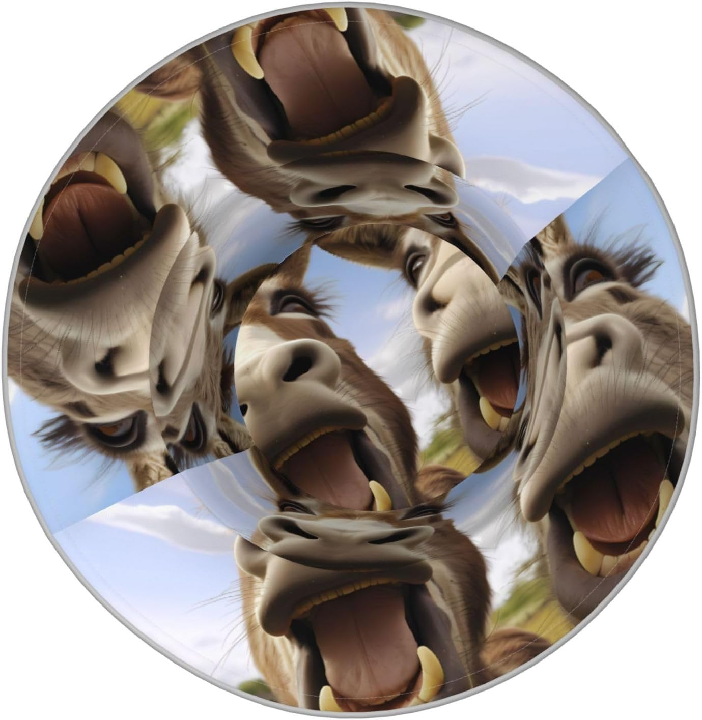 WHJSHOP Funny Donkeys Printing Reflective Bucket Hat Breathable for Men and Women, for Travel, Camping Black