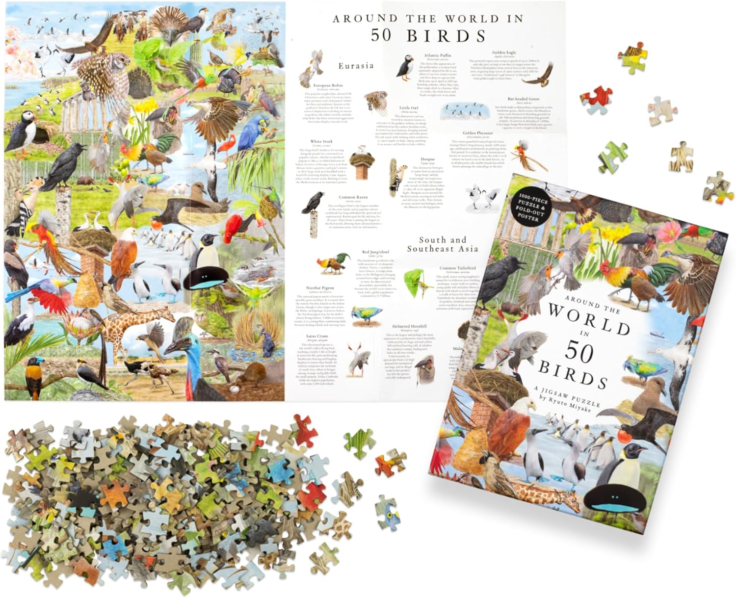 Around the World in 50 Birds: 1000 Piece Jigsaw image number 5