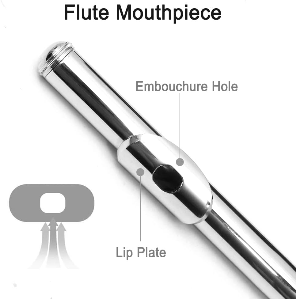 Flute 17 Key Closed Hole C Flute for Beginner Cleaning Kit with Gloves Cloth Tuning Rod Hard Case Nickel Siver, 17 Key Flute Instrument Student Flutes(Closed Hole,Silver) image number 2