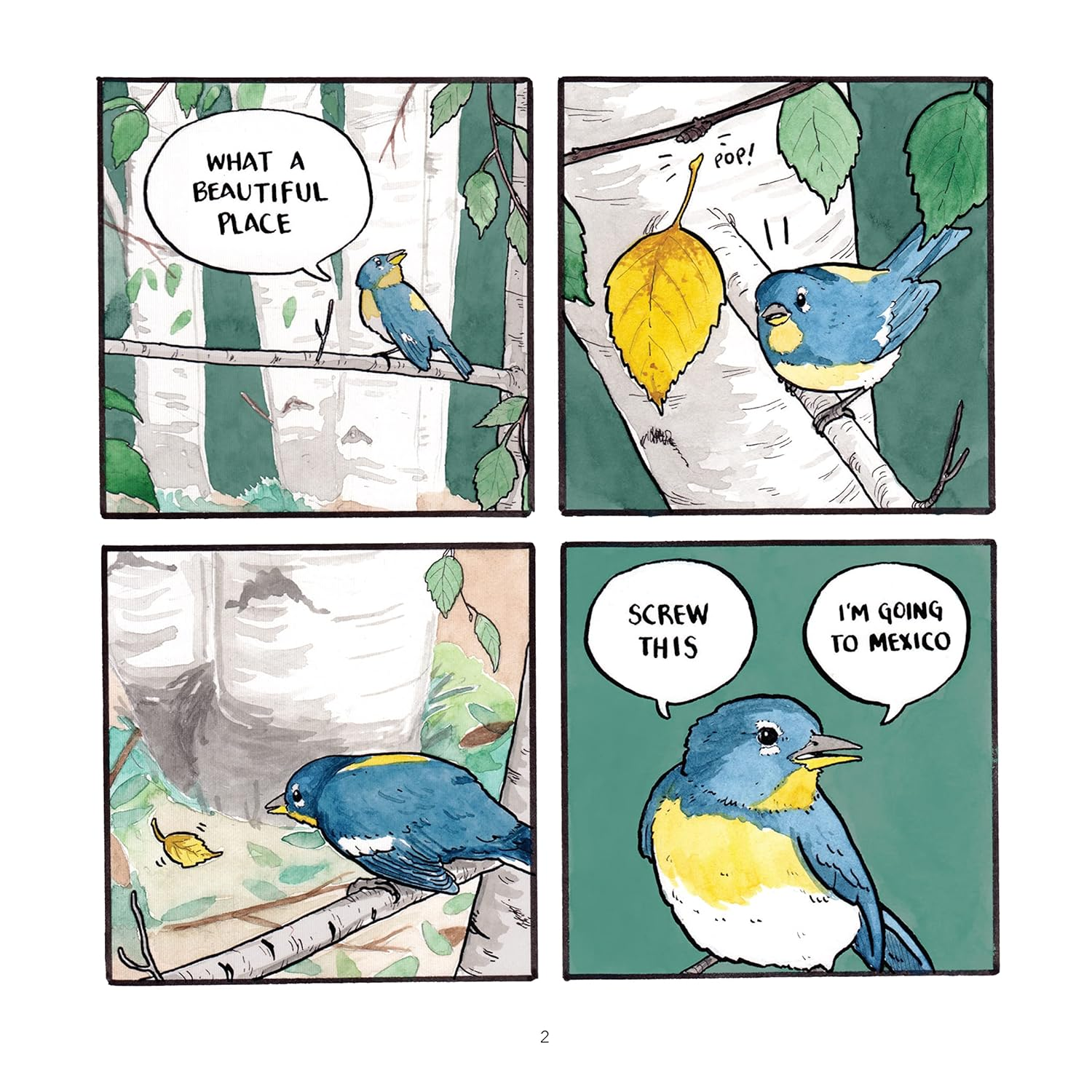 False Knees: an Illustrated Guide to Animal Behavior