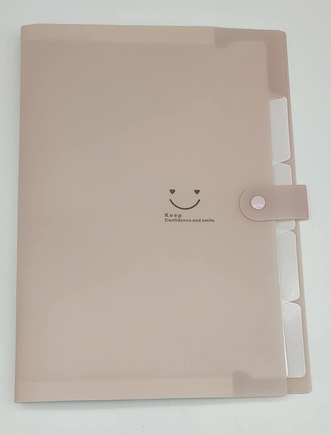 A4 Folder Plastic Folder Insert Storage Bag Storage File Organ Folder File Folder Waterproof File Bag Test Paper Bag Information Booklet 5 Grids 4 Packs (Grass Green + Blue + Light Pink + Purple) image number 3