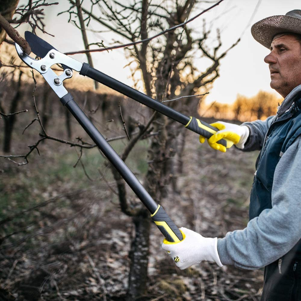 Jardineer 2" Anvil Loppers Shears - Gardening Loppers Heavy Duty with Garden Shears & Spare Blade, Effortless Pruning Tree Loppers, 30" Long-Lever Tree Trimmer Branch Cutters image number 1