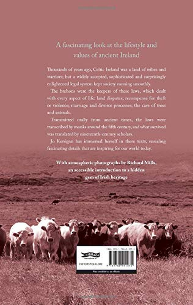 Brehon Laws: the Ancient Wisdom of Ireland image number 1