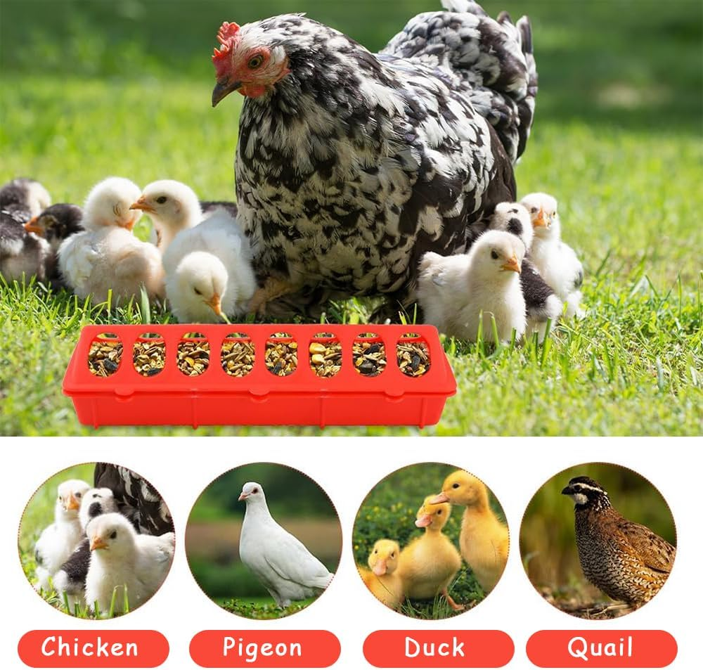 6-Pack Plastic Small Poultry Feeders, Chicken Feeding and Drinking Dispensers, Spill-Proof Feeding Trays with Flip Lids and Holes for Pigeons, Quail, Small Birds, Ducks and Chickens image number 1