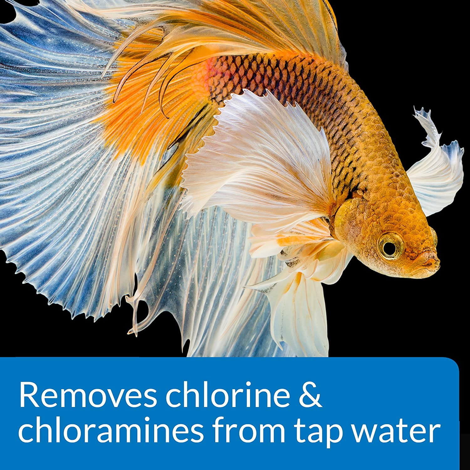 API Betta Water Conditioner, 50 Ml, (Pack of 1) image number 2