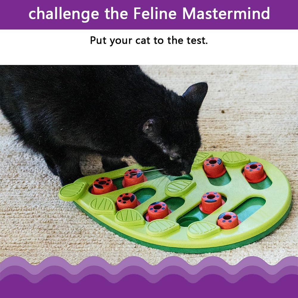 Interactive Cat Toy &ndash; Treat Dispensing Puzzle Feeder for Cats, Mental Enrichment Toy, Includes Pet Safe Meal-Dispensing Ball (Green) image number 4