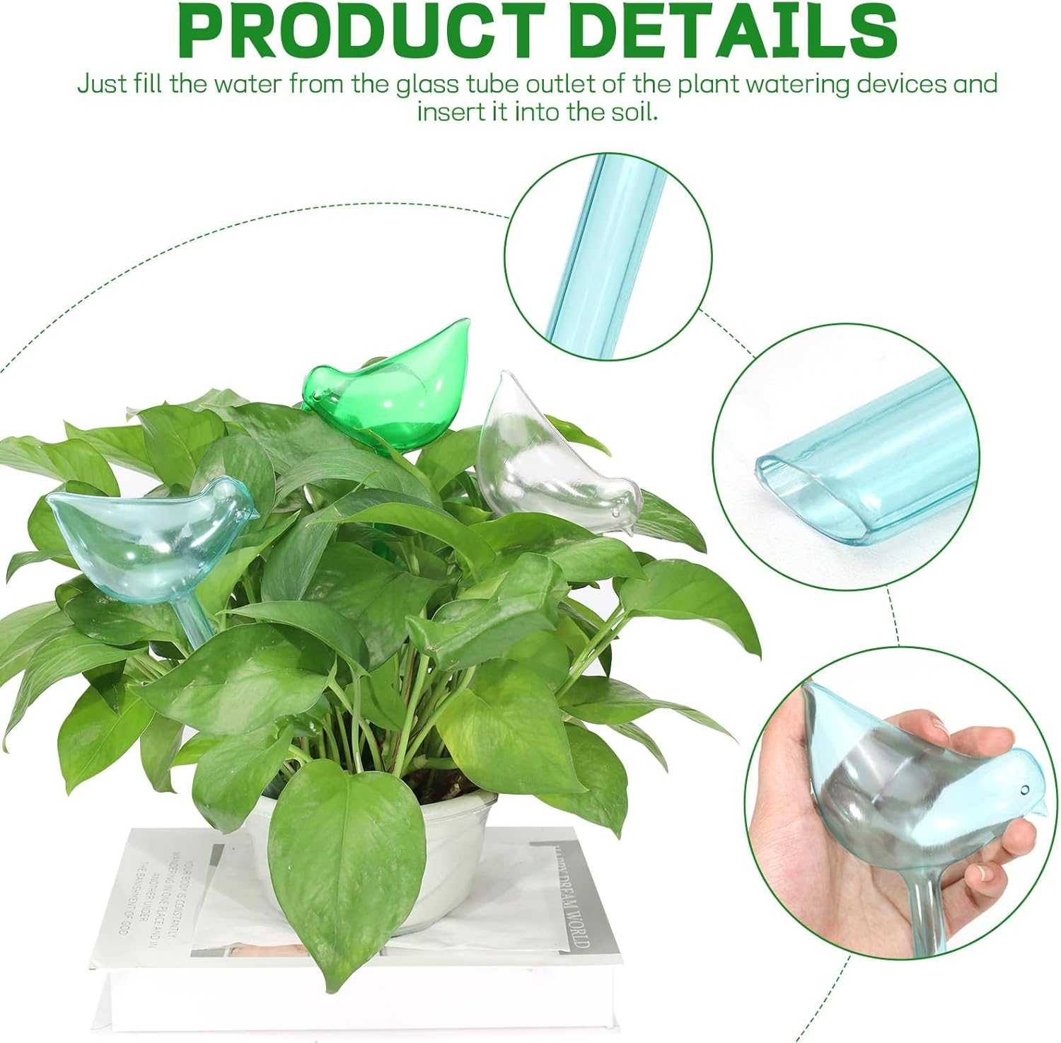 6Pcs Self Watering Globes for Indoor Plants, Self Watering Planter Insert, Self Watering Devices for Plant Lovers (Transparent+Lake Blue+Green) image number 1