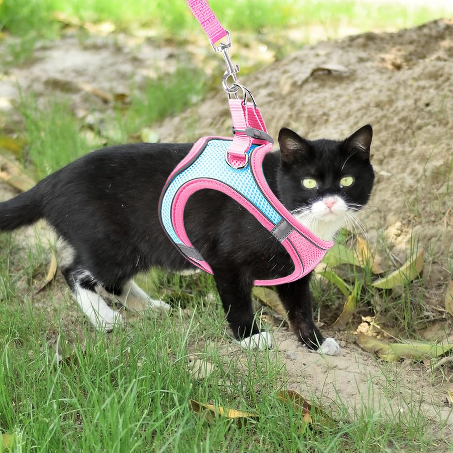 Escape Proof Puppy Kitten Vest Harnesses, Cat Vest Harness and Lead Sets, Adjustable Kitten Harness and Lead Set, for Small Medium Cats Pets Outdoor Walking Escape Proof (Pink+Blue) image number 3