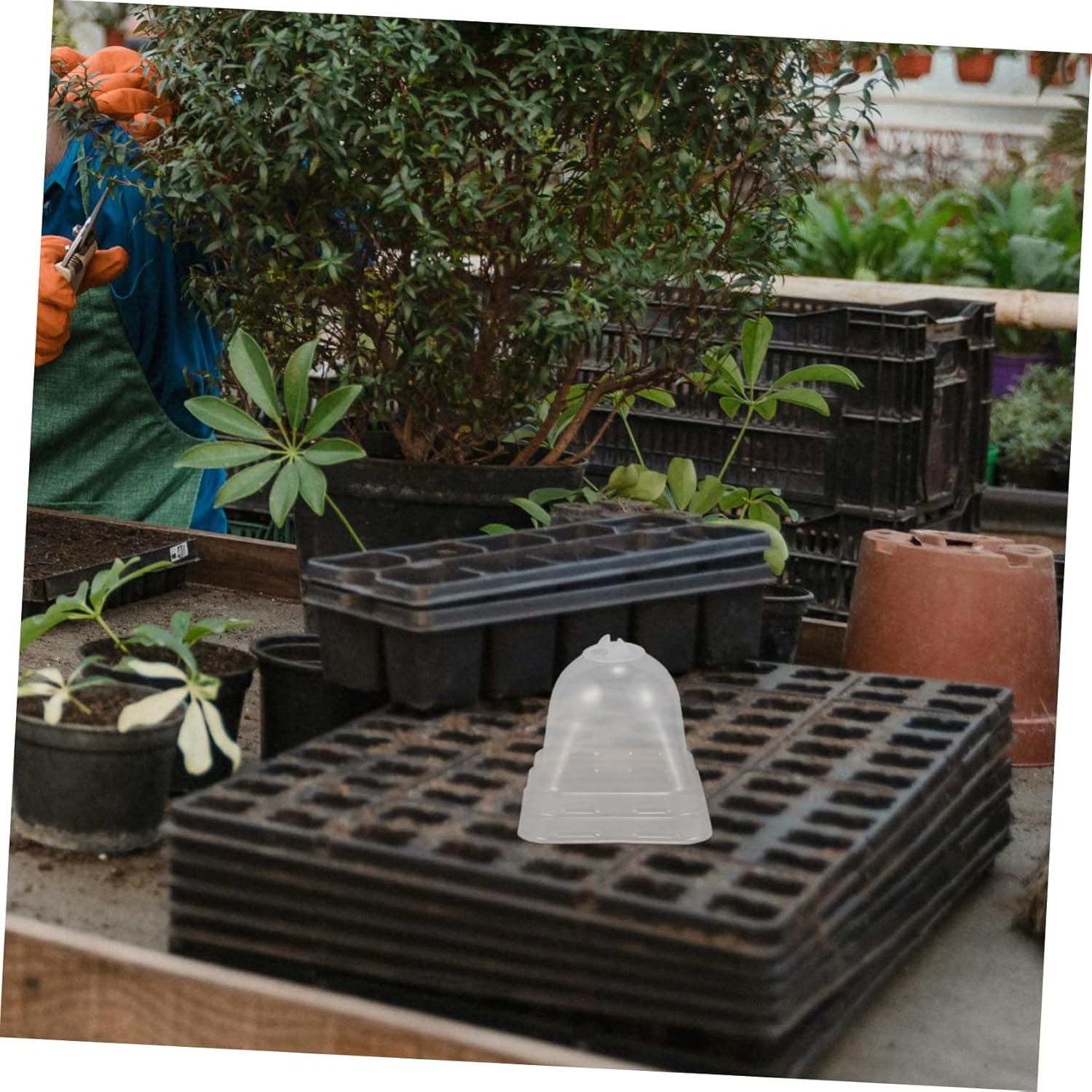 BCOATH 6Pcs Winter Plant Covers Frost Covers for Outdoor Garden Supply Bird and Creature Protection