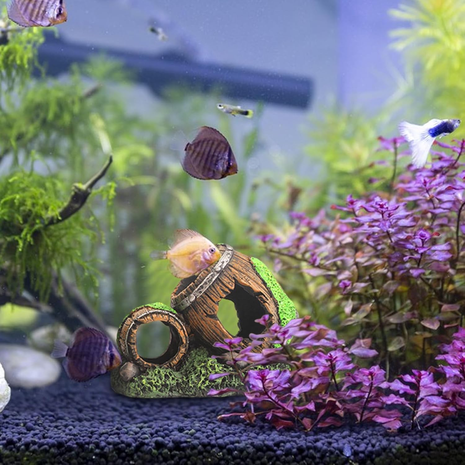 Fish Tank Cave | Hollow Wine Barrel Habitat Decorations - Shrimp Cave | for Pet Store Workplace Saltwater Display Home Freshwater Terrarium image number 6