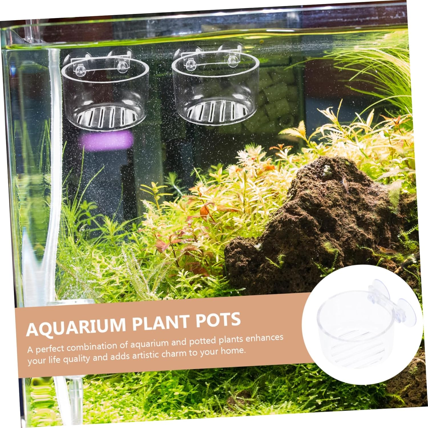 FUTUREORYY 4Pcs Aquarium Plant Holders Feeder Suction Cups for Hydroponic Aquatic Plants Space-Saving Fish Tank Decorations Safe for Pets Easy to Hang image number 1