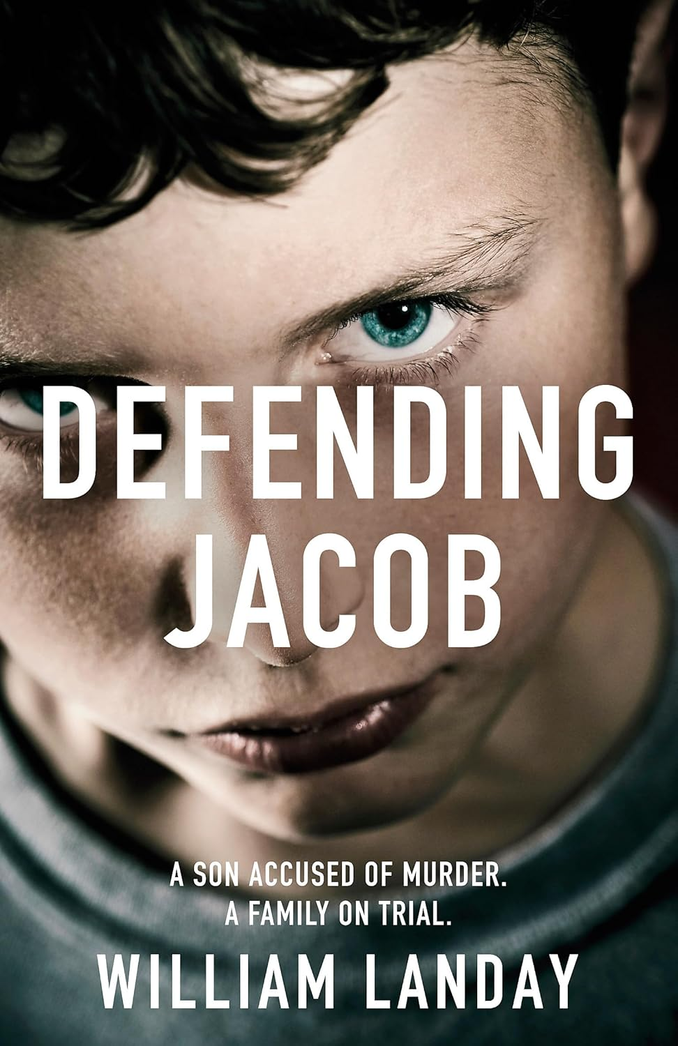 Defending Jacob image number 2