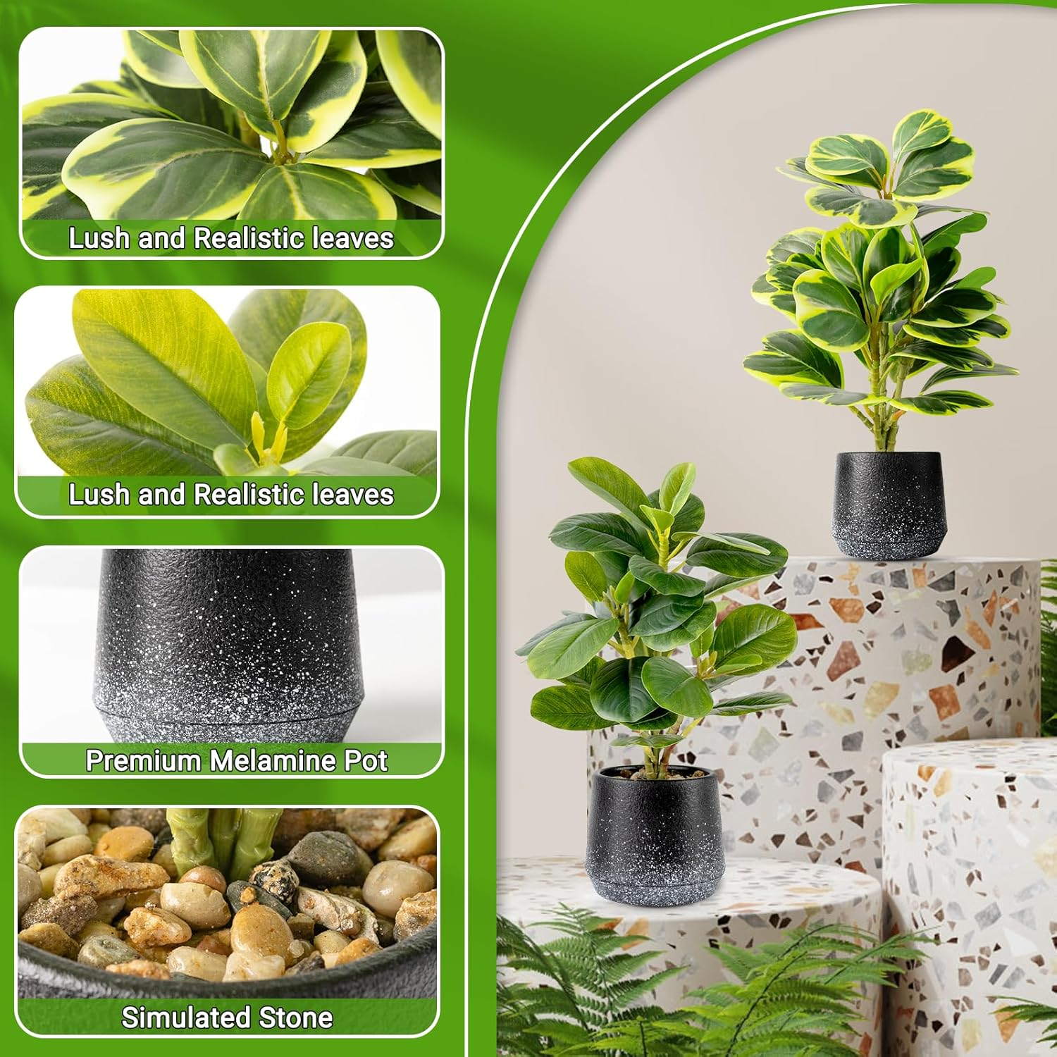 2 Pack Realistic Artificial Potted Plants Peperomia Obtusifolia, 11" Small Faux Greenery for Desk, Bathroom, Office, or Home Decor (Evergreen, Maintenance Free) image number 2