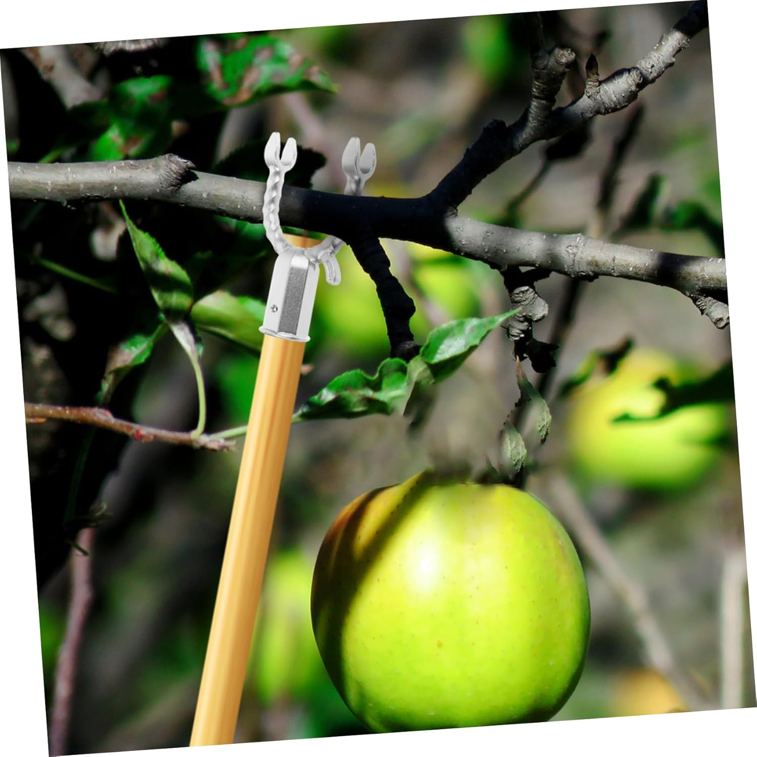 Plants Training Tools Branches Fixing Tool for Outdoor Gardens 6Pcs Silver Aluminum Alloy Tree Braces Lightweight to Support Fruited Trees and Improve Photosynthesis image number 6