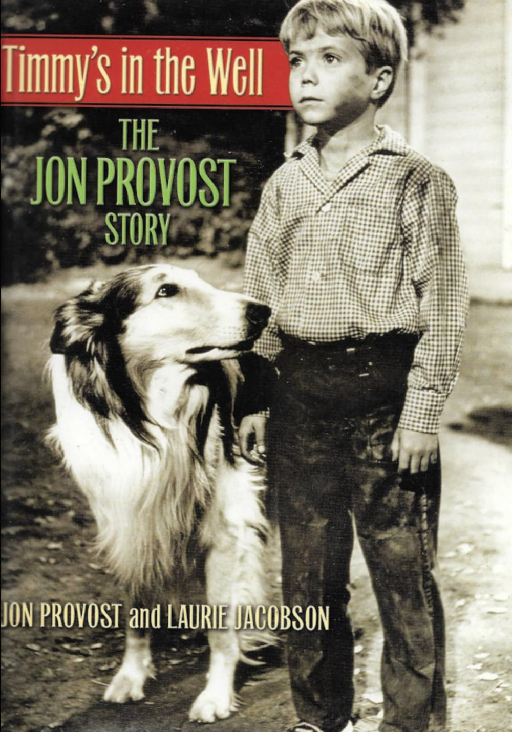 Timmy'S in the Well: the Jon Provost Story image number 1