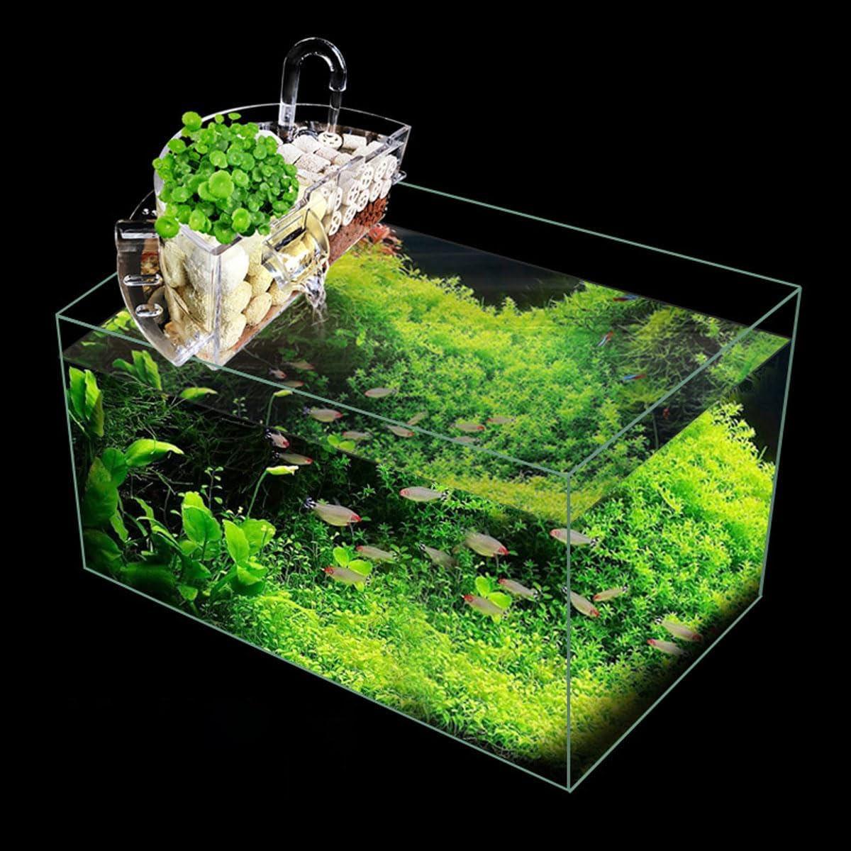 AIMALL round Aquarium Filter Box, Small External Top Quiet Water Purification, Three-In-One Trickle Filter, High Transparency, Arc-Shape Design image number 5