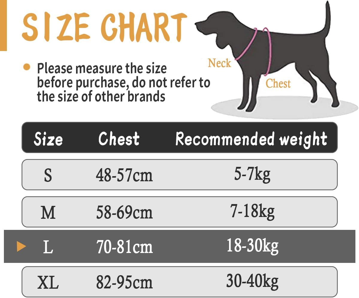 Agoumlux Dog Harness Anti-Pull Harness Adjustable Reflective Chest Harness for Large Medium Small Dogs, Blue, S image number 3