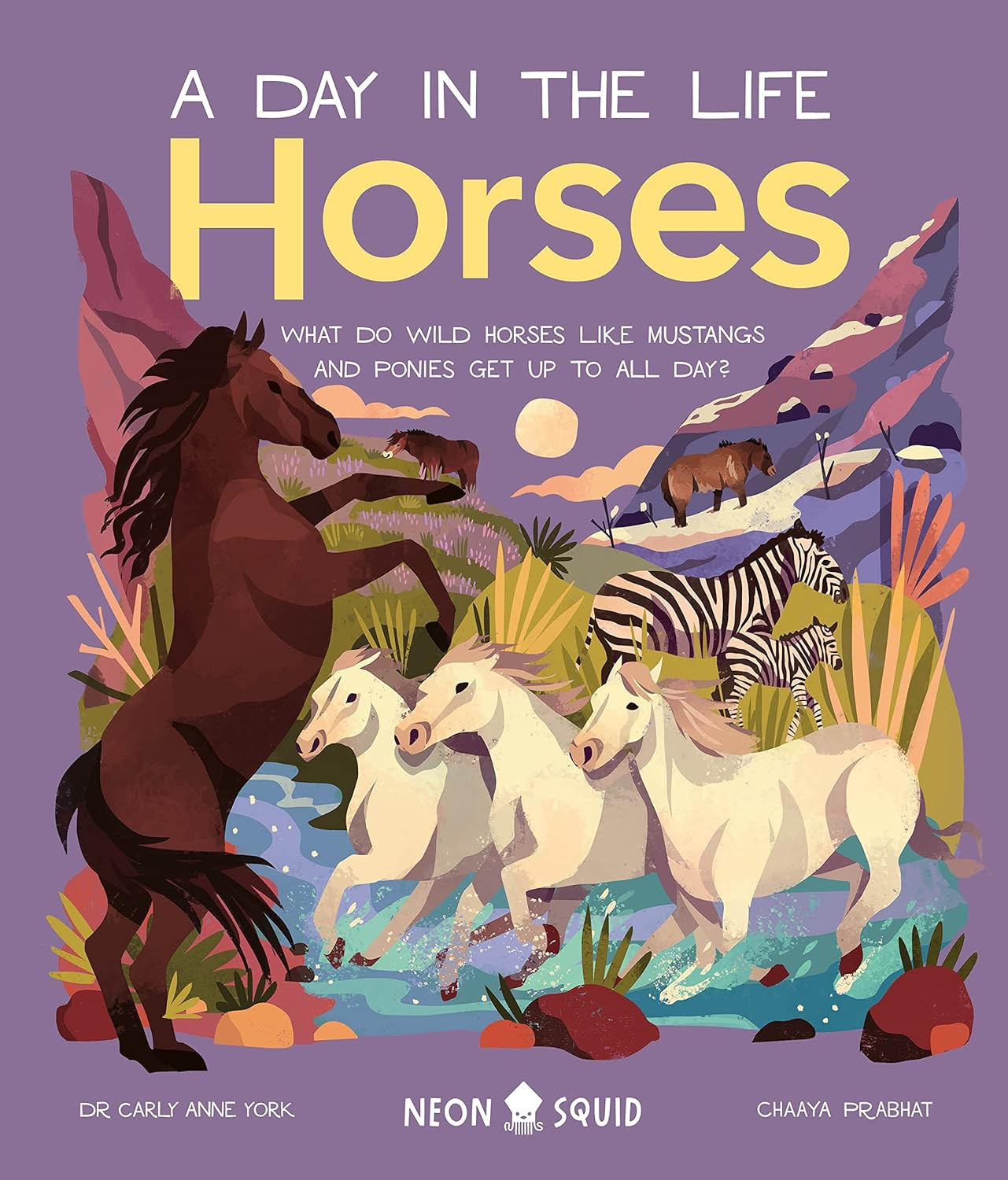 Horses (A Day in the Life): What Do Wild Horses like Mustangs and Ponies Get up to All Day? image number 3
