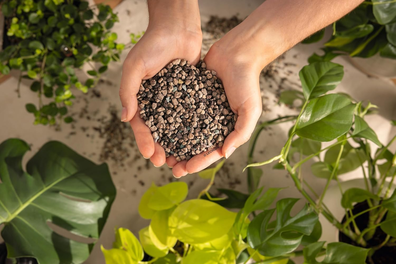 Lechuza Pon Plant Substrate 12 Liter