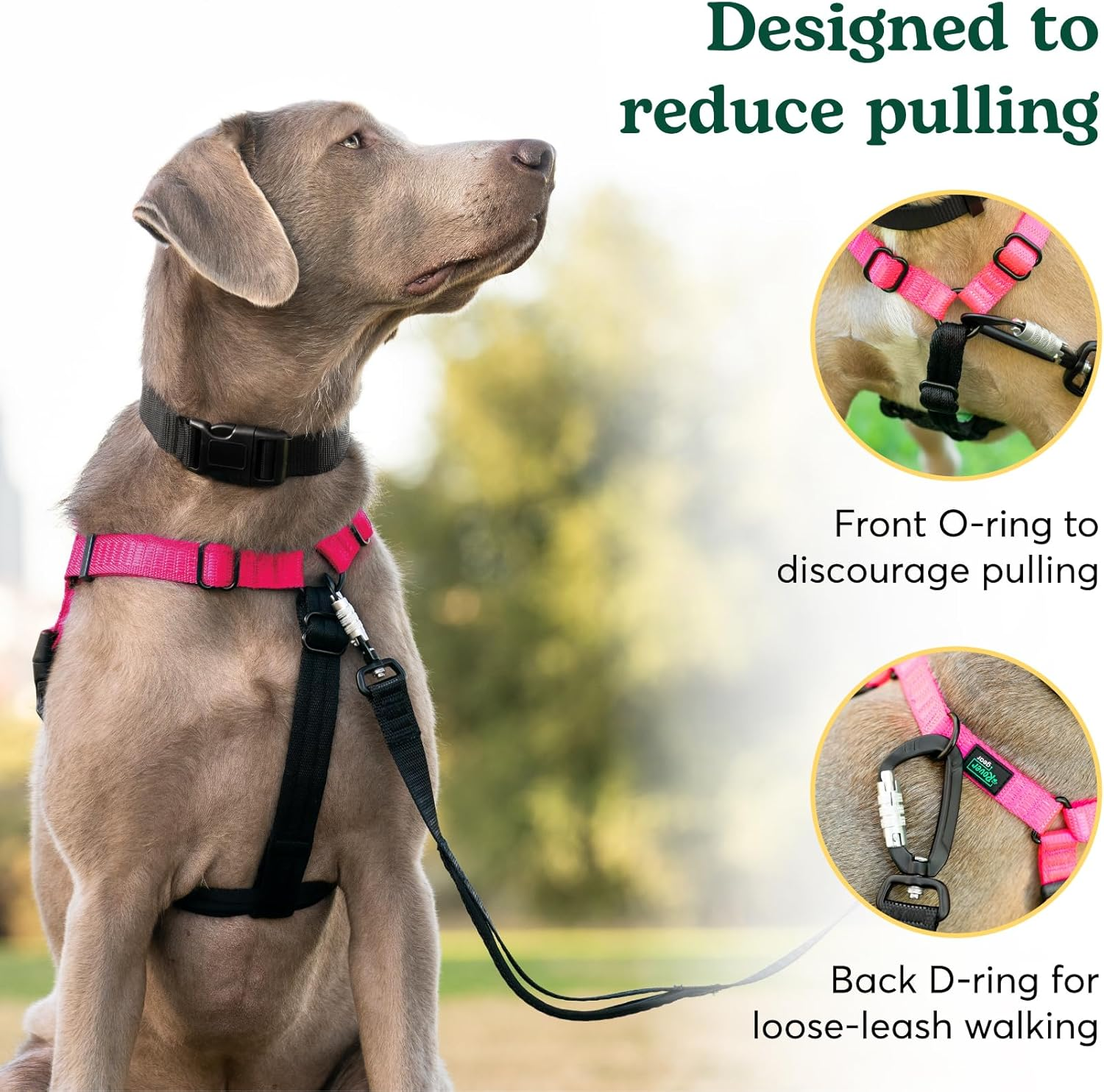 Rover Gear Better Walk No-Pull Dog Harness, Hot Pink, X-Large &ndash; Stay in Control with Adjustable, Comfortable, Easy to Wear, Durable Dog Harness &ndash; Ideal for Extra Large Dogs 70-130+ Lb image number 3