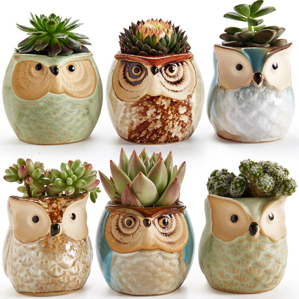 Sun-E 6 in Set Owl Pot Ceramic Flowing Glaze Base Serial Set Succulent Plant Pot Cactus Plant Pot Flower Pot Container Planter Bonsai Pots with a Hole Perfect Gife Idea 2.5 Inch image number 3