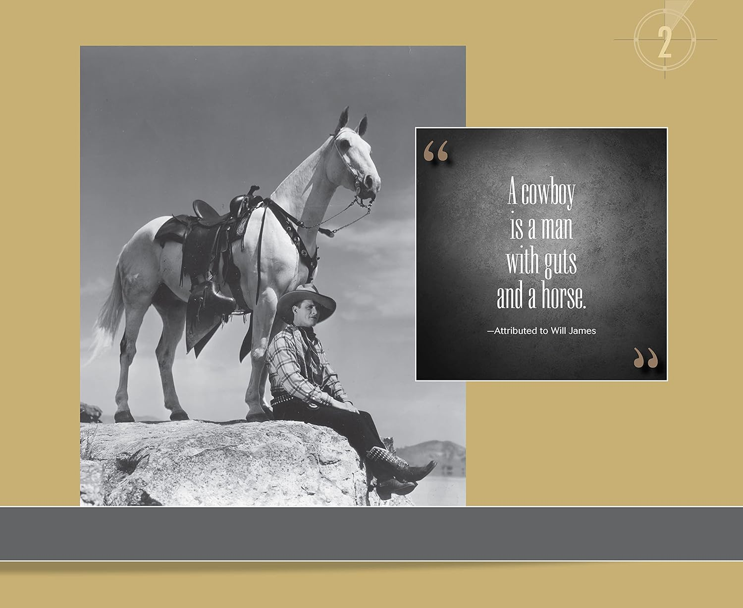 Hollywood Hoofbeats: the Fascinating Story of Horses in Movies and Television image number 1