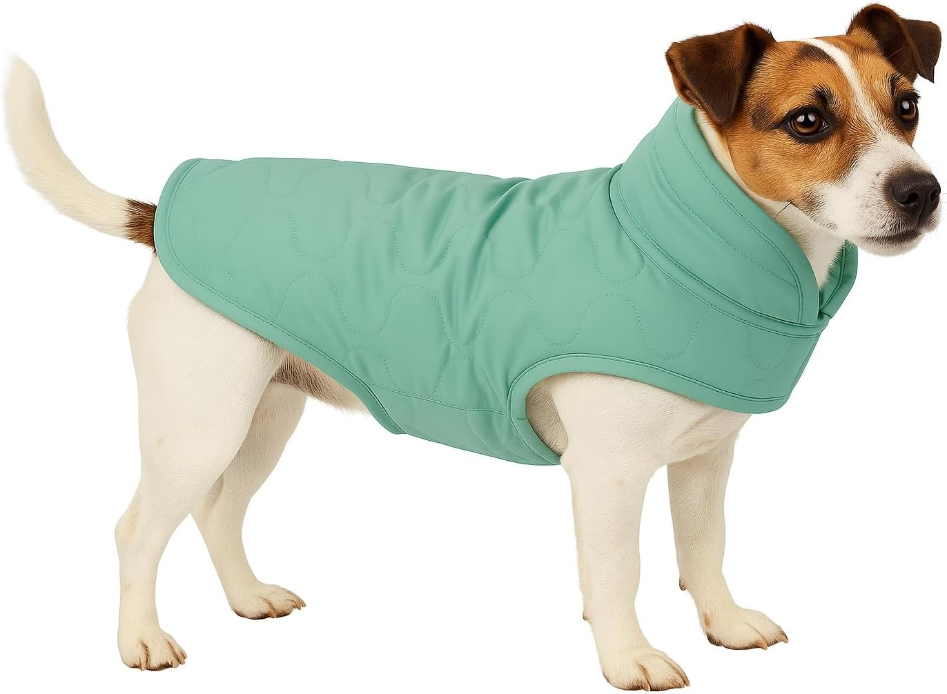 Winter Dog Coat - Tosca Mint Green - A: 35 Cm W: 34-38 Cm C: 50-54 Cm - Polyester - Washable at 30 &deg;C - Soft Fleece - High Collar - Flamingo