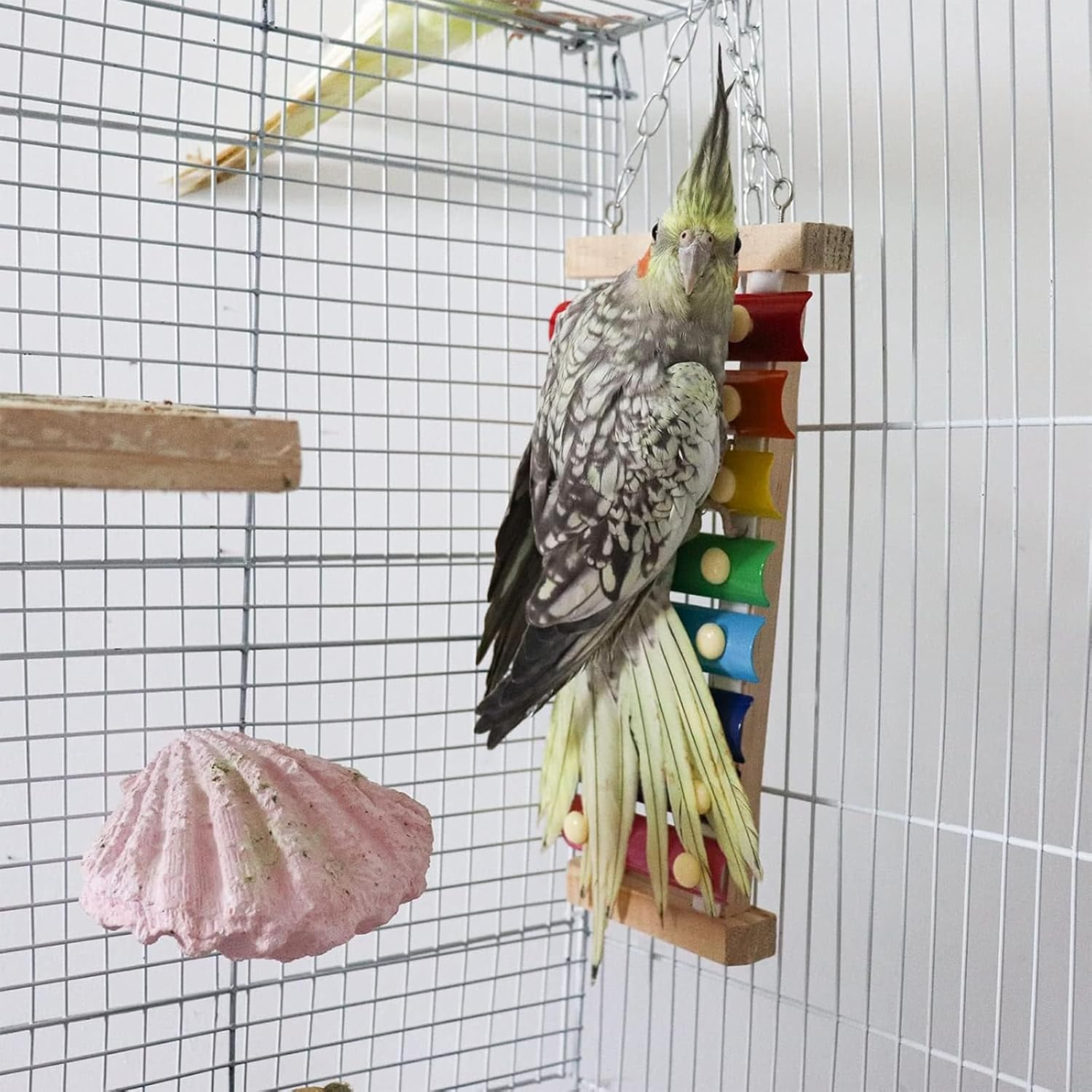Cozioz Colorful 8-Note Bird Xylophone Toy - Hanging Musical Toy with Metal Keys for Parrots, Cockatiels, Budgies & Small Birds | Fun Cage Accessory to Stimulate Play & Mental Enrichment image number 3