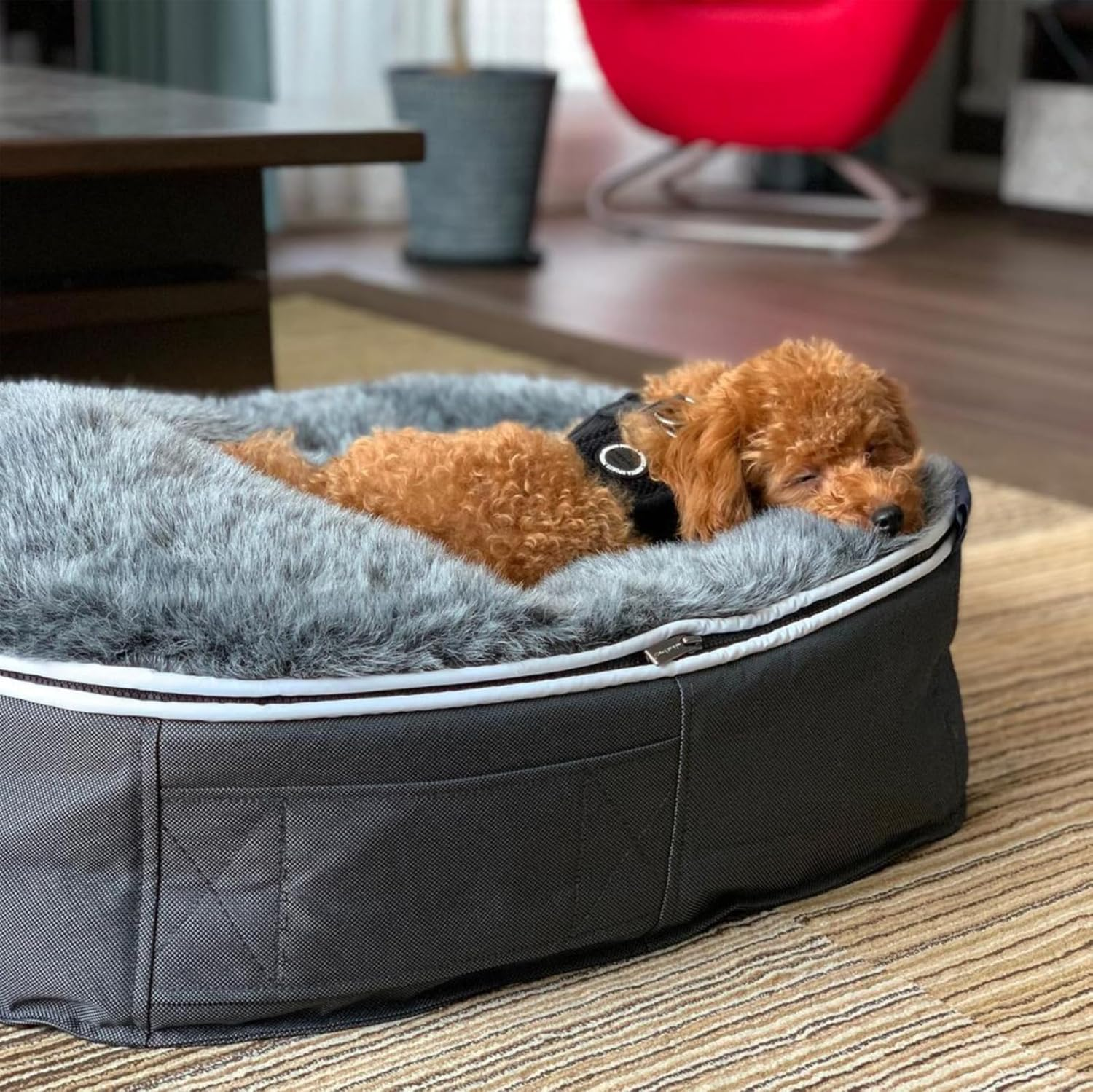 [Ambient Lounge Japan] Amazon Limited Pet Lounge, Wolf Gray, Washable, Dog, Cat, Bed, Luxury, S Size (Genuine Japanese Product, Made in Japan) Basic image number 1