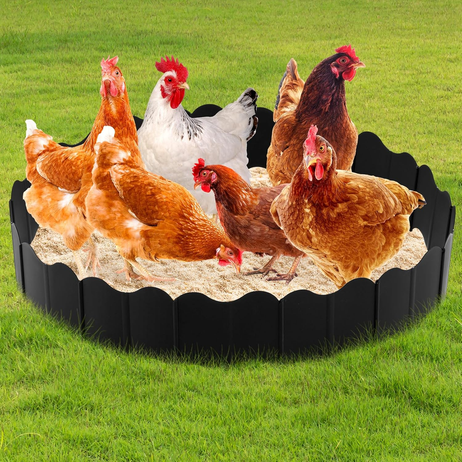 1 Set Large Chicken Dust Bath Tub 18.5'' Dia X 5.5'' H Bottomless Design round Adjustable Chicken Coop Cleaner Container Dust Bath for Essential Coop Accessory image number 4