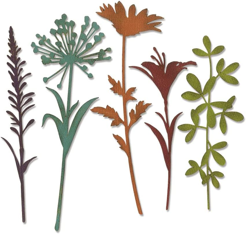 Sizzix Thinlits Die Set, Wildflower Stems #2 by Tim Holtz, 5 Pack, One Size, Multicolor 5 Piece image number 4
