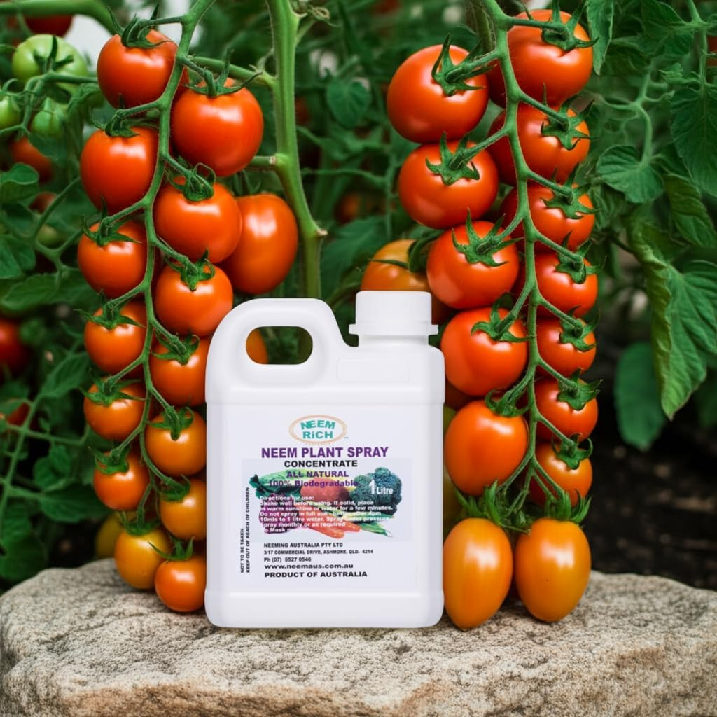 Neem Rich Neem Plant Spray Concentrate 1 Litre image number 5