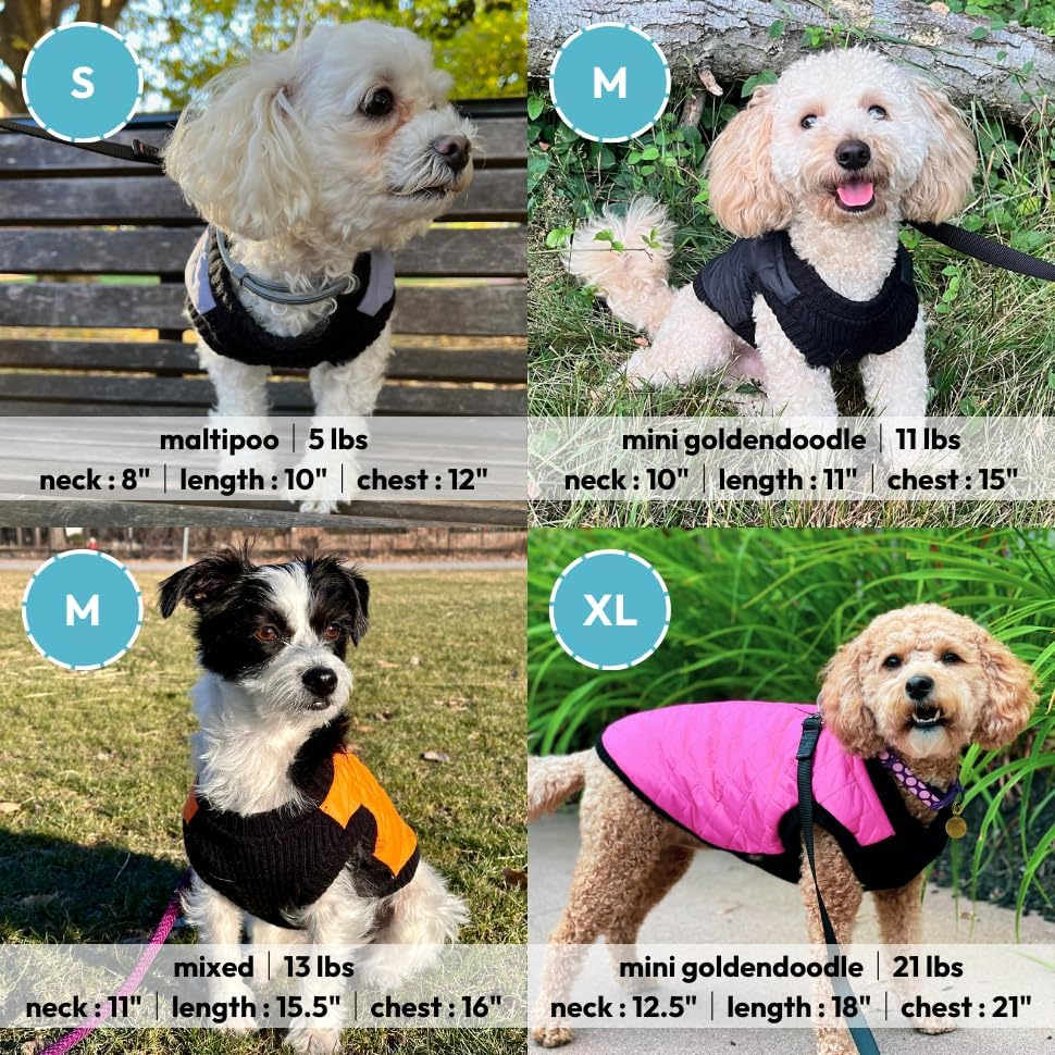 Gooby Fashion Vest Dog Jacket - Black, X-Small - Warm Zip up Bomber Vest with Dual D Ring Leash - Winter Water Resistant Small Dog Sweater