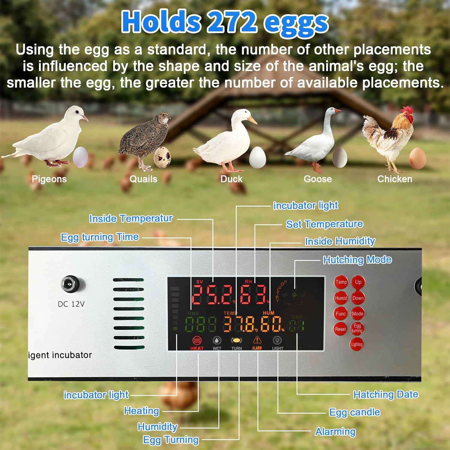 CHAOFLIGHT Egg Incubators, Automatic Incubator Machine with Built-In Egg Turner and Lntelligent Temperature Controller & Humidity Monitoring, for Chick Fry, Duck, Goose, Pigeon, Parrot (272 Eggs) - 272 Eggs image number 2