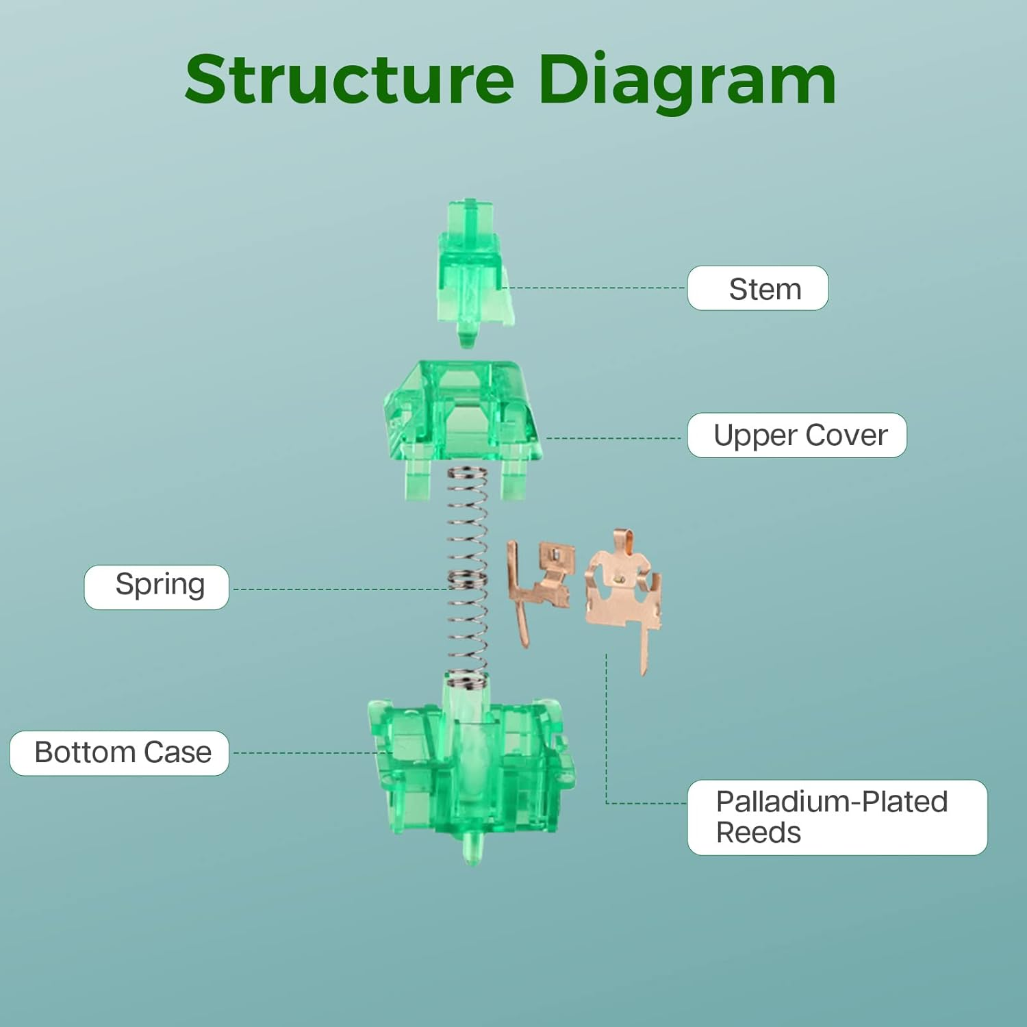 Kiiboom Linear 48Gf Emerald Mechanical Keyboard Switch, 5 Pin Switch with PC Stem, Translucent PC Housing, 35 Pieces for Gaming DIY Keyboard