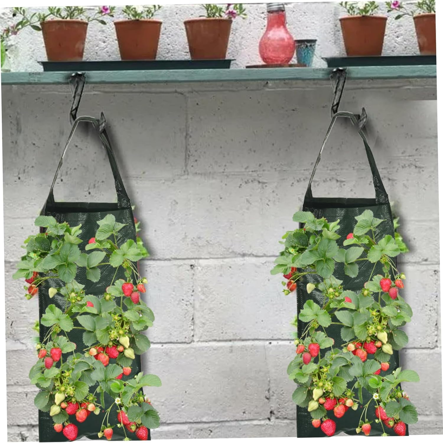 Hanging Strawberry and Tomato Planter Bags, 4Pcs 8 Hole Upside down Tomato Planter Hanging Bag with Handle,Upside down Tomatos Plant Hang Bag Strawberry Grow Bag image number 5