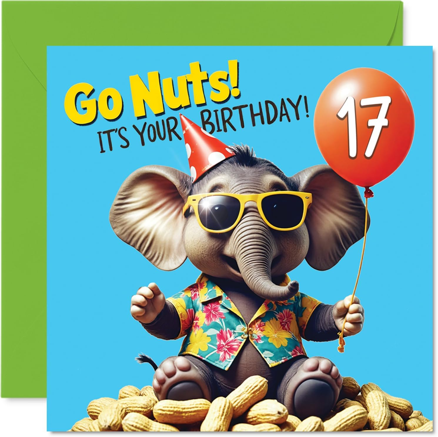 17Th Birthday Cards for Boys Girls - Elephant Go Nuts! Its Your Birthday! - Happy Bday Card for 17 Year Old Boy Girl Grandson Son Niece Sister, 145Mm Bday Greeting Cards image number 1