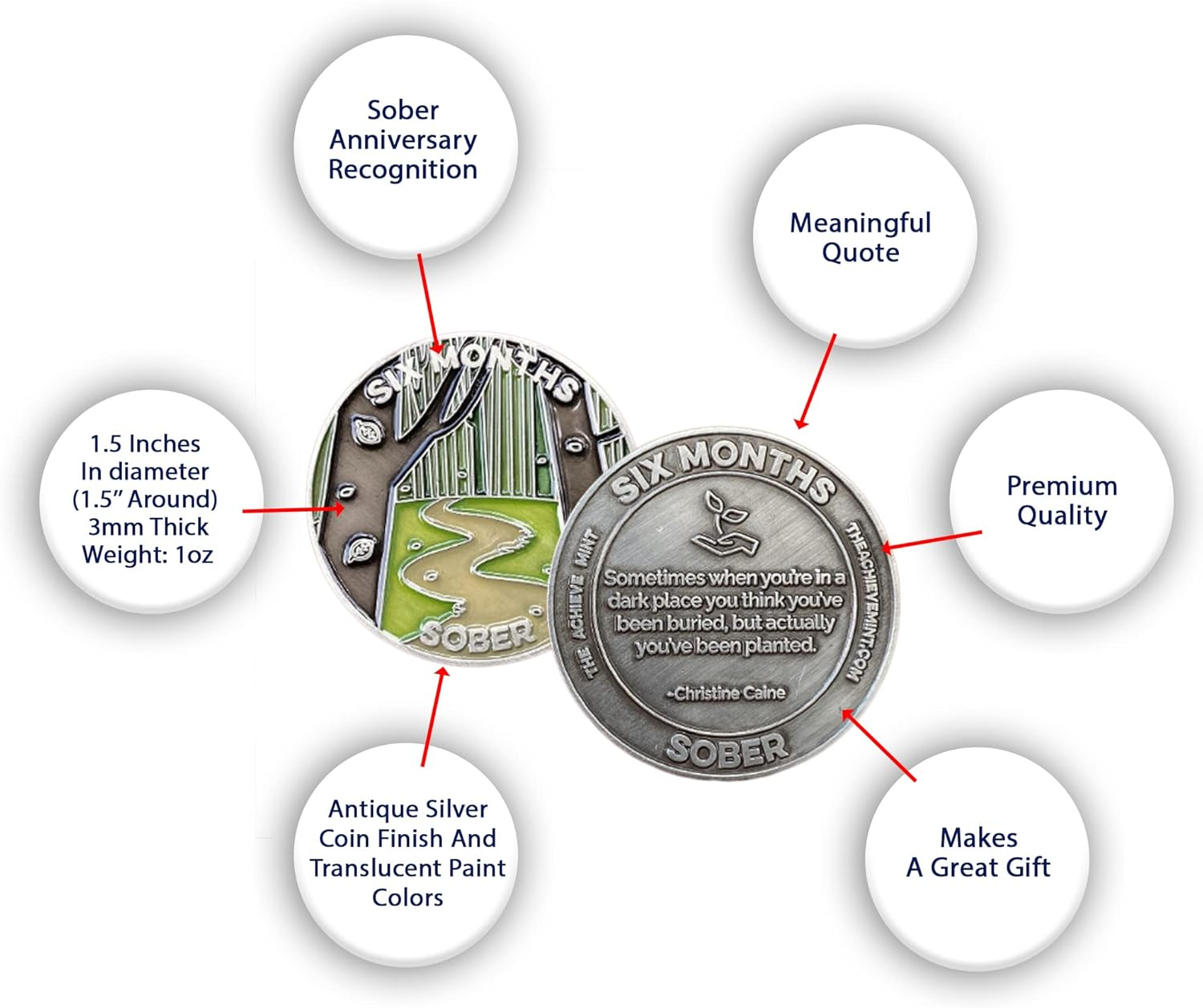 The Achieve Mint 6 Months Sober Token | Six Months Sobriety Chip | Non-Aa, Non-Religious Medallions for Men and Women Celebrating Sobriety