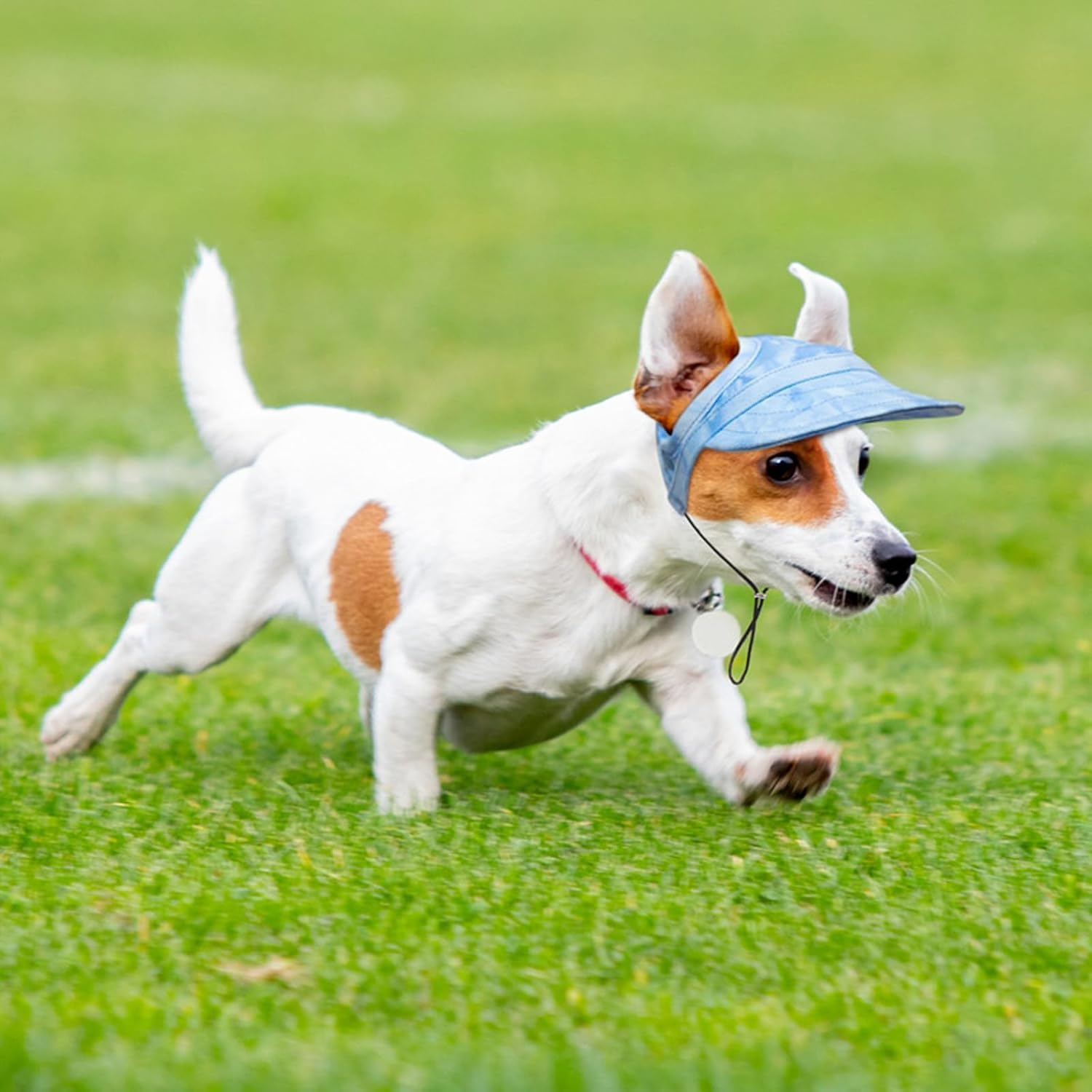 Outdoor Sun Protection Hood for Dogs, Dog Hat Canvas Dog Sun Hat Dog Baseball Cap, Dog Travel Sport Hat, Adjustable Pet Sunbonnet with Ear Holes (XL,I) image number 3