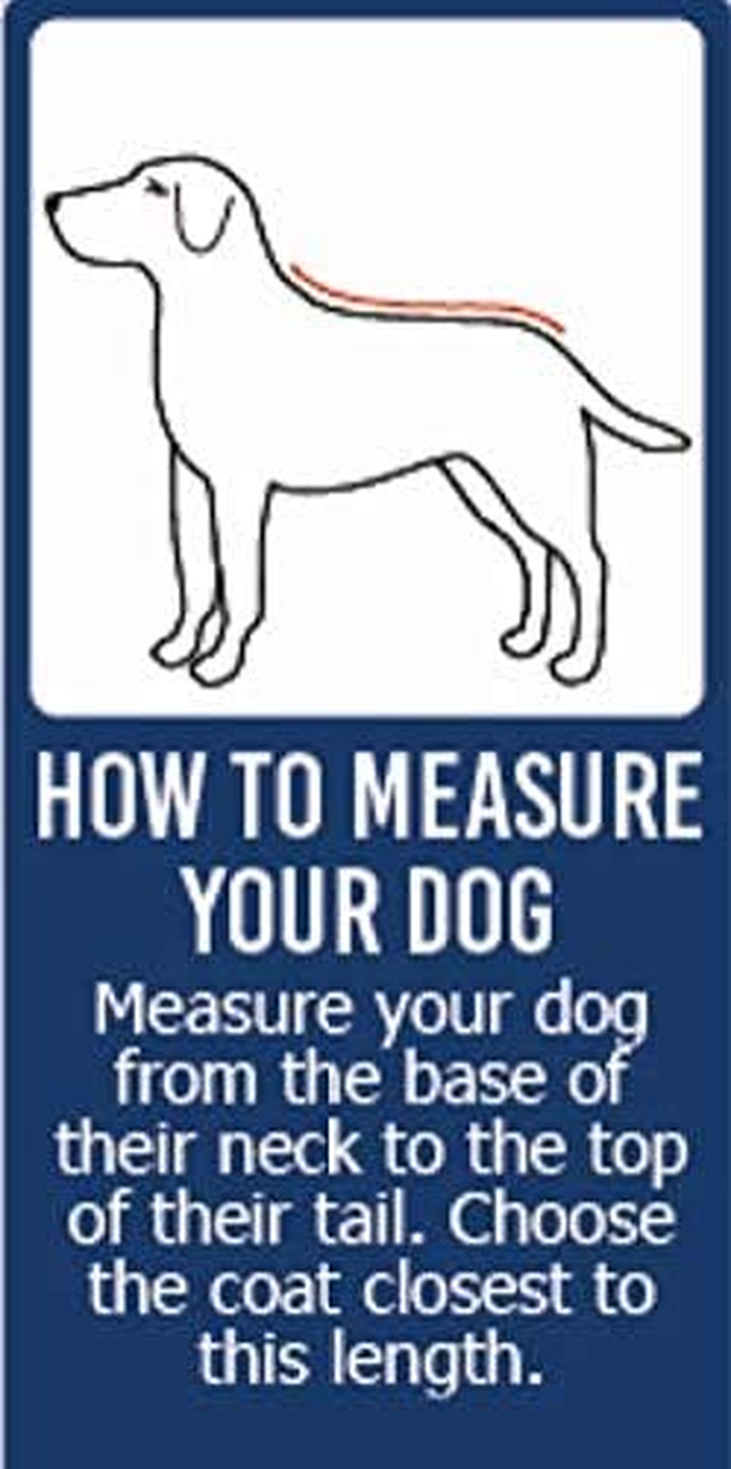 Ancol Muddy Paws All Weather Stormguard Dog Puppy Coat Black - Waterproof Pet Jacket with Fleece Lining and Chest Protector - Elasticated Neck and Leg Straps - 40 Cm Length up to 65 Cm Girth - Medium image number 3