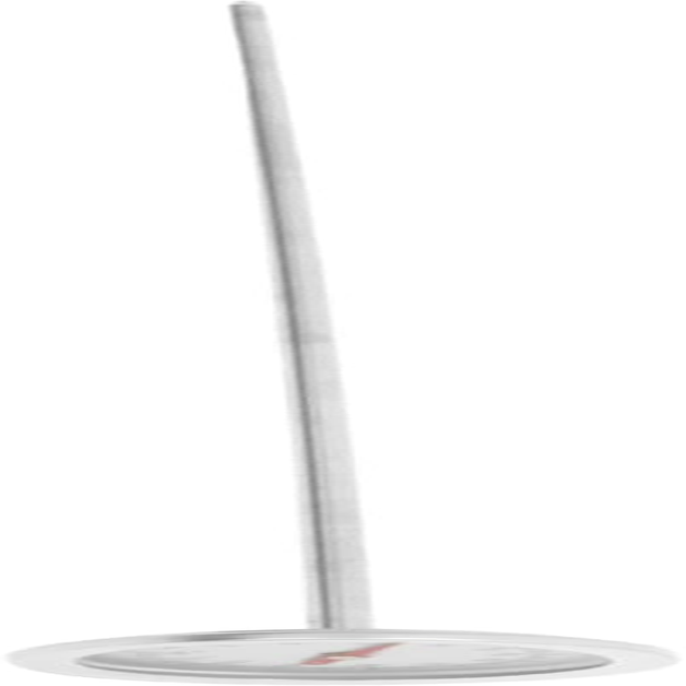 PHENOFICE Outdoor Soil Thermometer Compost Probe for Accurate Soil Measurement Compact and Portable Gardening Tool for Backyard Composting image number 2