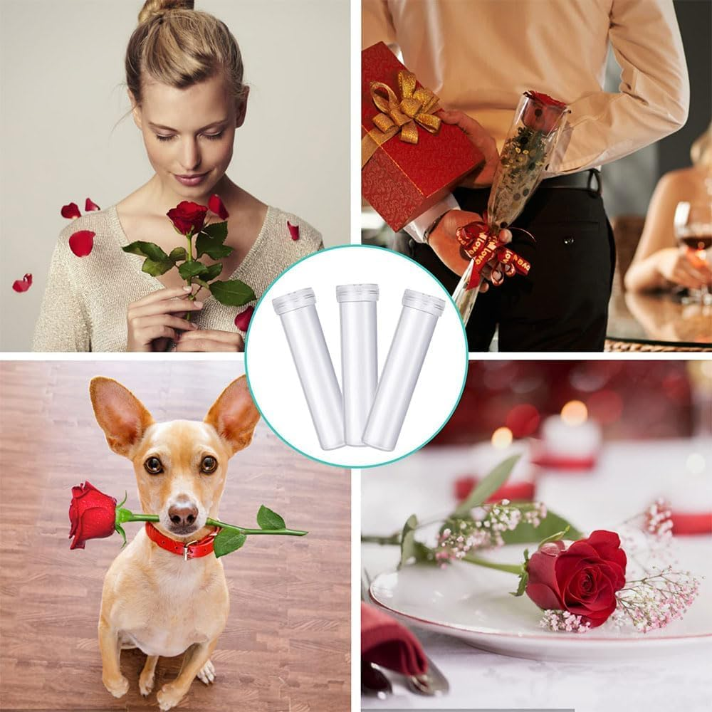 100 Pack Floral Water Tubes,Plastic Water Tubes for Floral Flower Vials for Single Stem Roses,Buds,Bouquets &ndash; Standard Style,(Transparent)