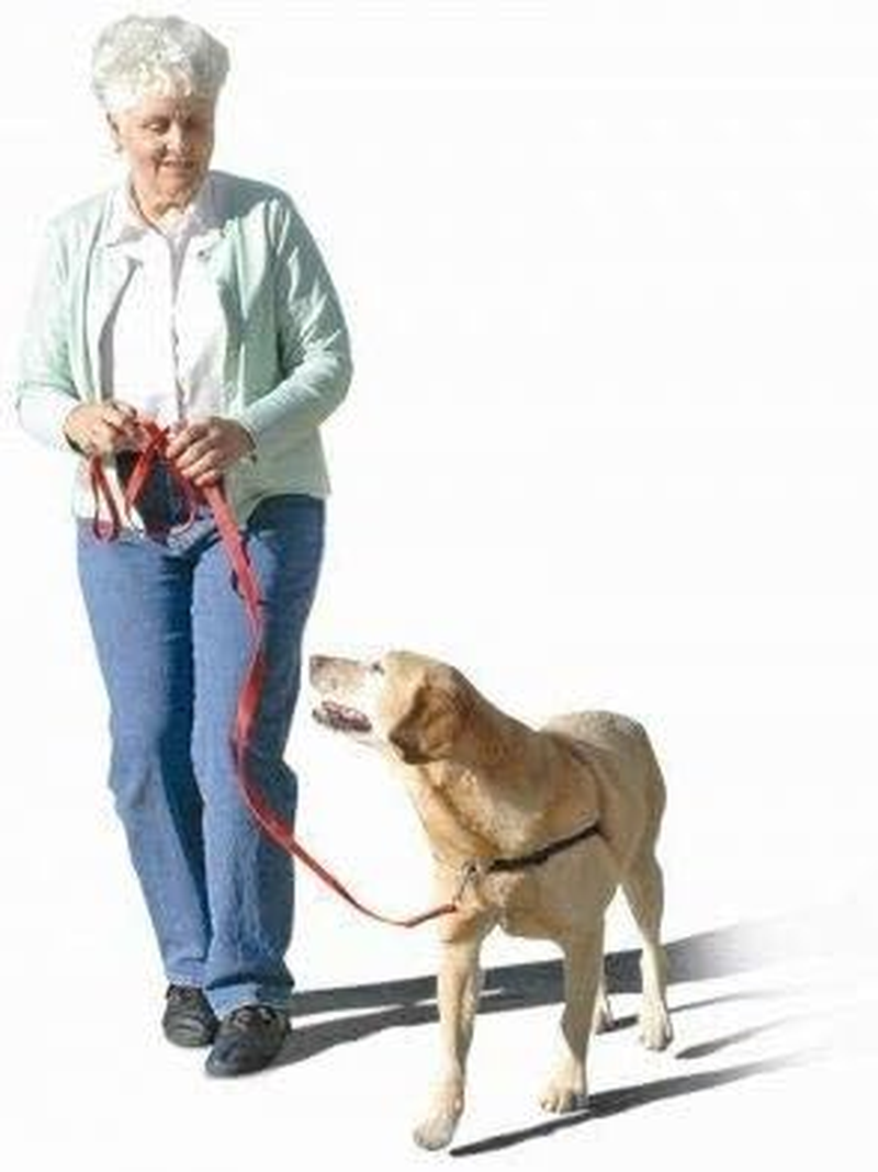 The Original Sense-Ation No-Pull Dog Training Harness (Blue, Extra Small) image number 1