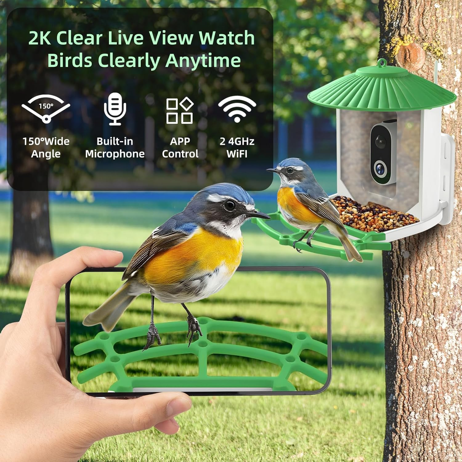 Smart Bird Feeder with Camera, 2K High-Definition AI Recognition Birdhouses with Solar Powered, Live View and Instant Notifications, Auto Capture Bird Videos & Motion Detection, Ideal Gift image number 1