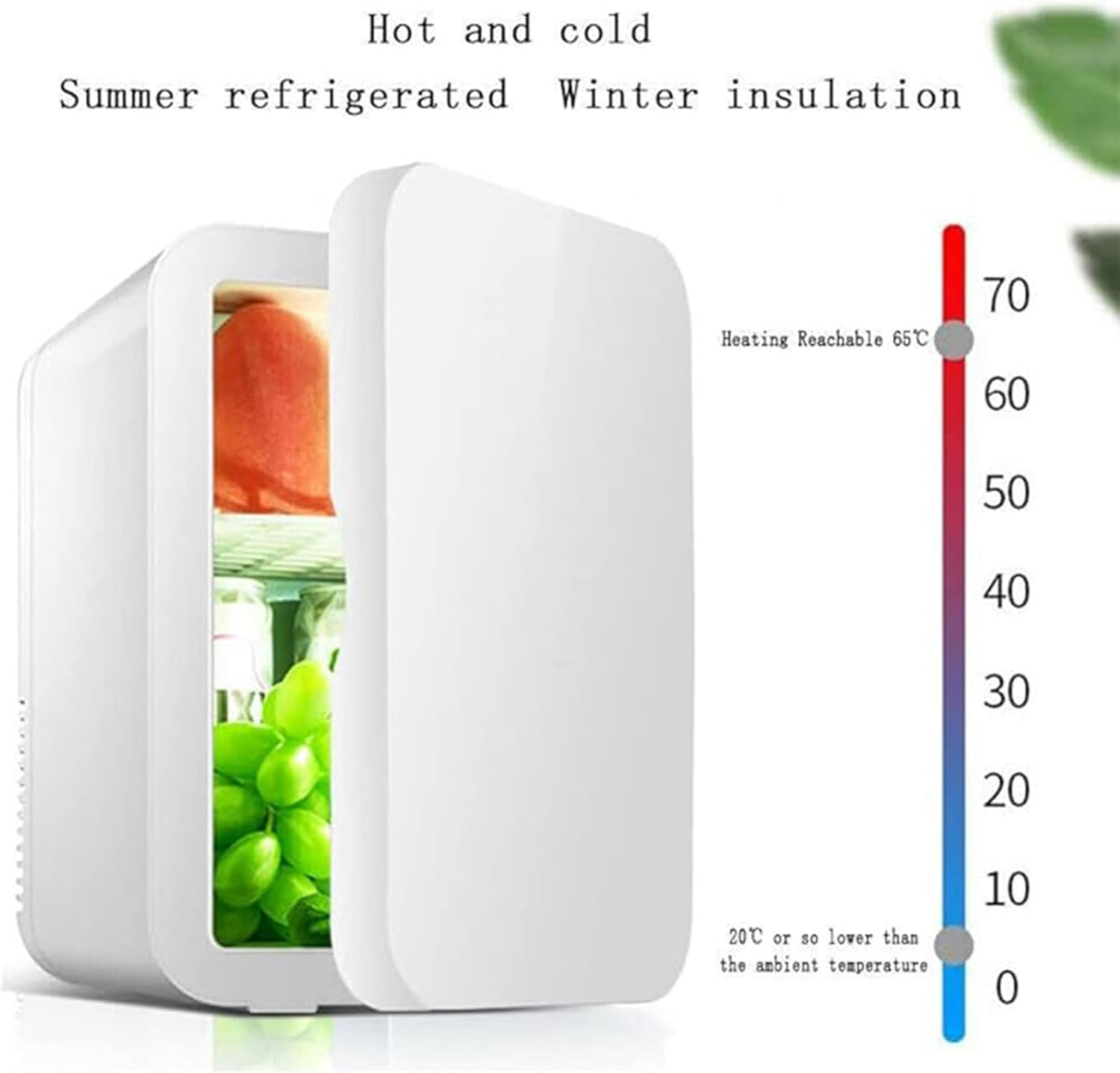 TECHVIDA Portable Mini Refrigerator 8L, Bedroom, Car, Travel, 220V AC/12V DC, White, 1 Door, 1 Shelf, 8L Capacity, 1 Star Energy Efficiency image number 6