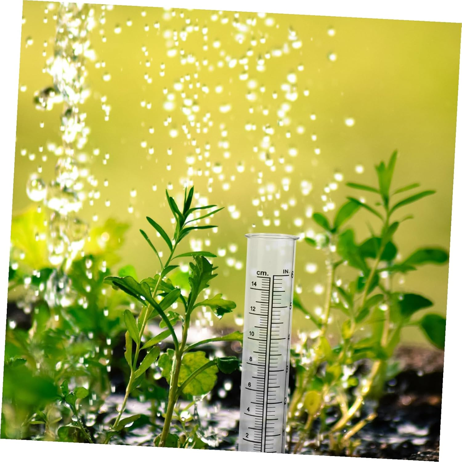 Ibasenice 2Pcs Transparent Shaped Rain Measuring Tubes Plastic Rain Gauges for Garden Supplies Accurate Precipitation Measurement Tools image number 3