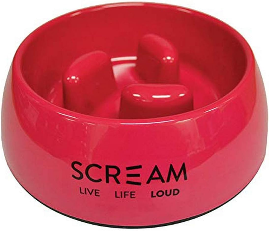 SCREAM 49-SB04070 Slow Bowl, Loud Blue, 750Ml image number 5