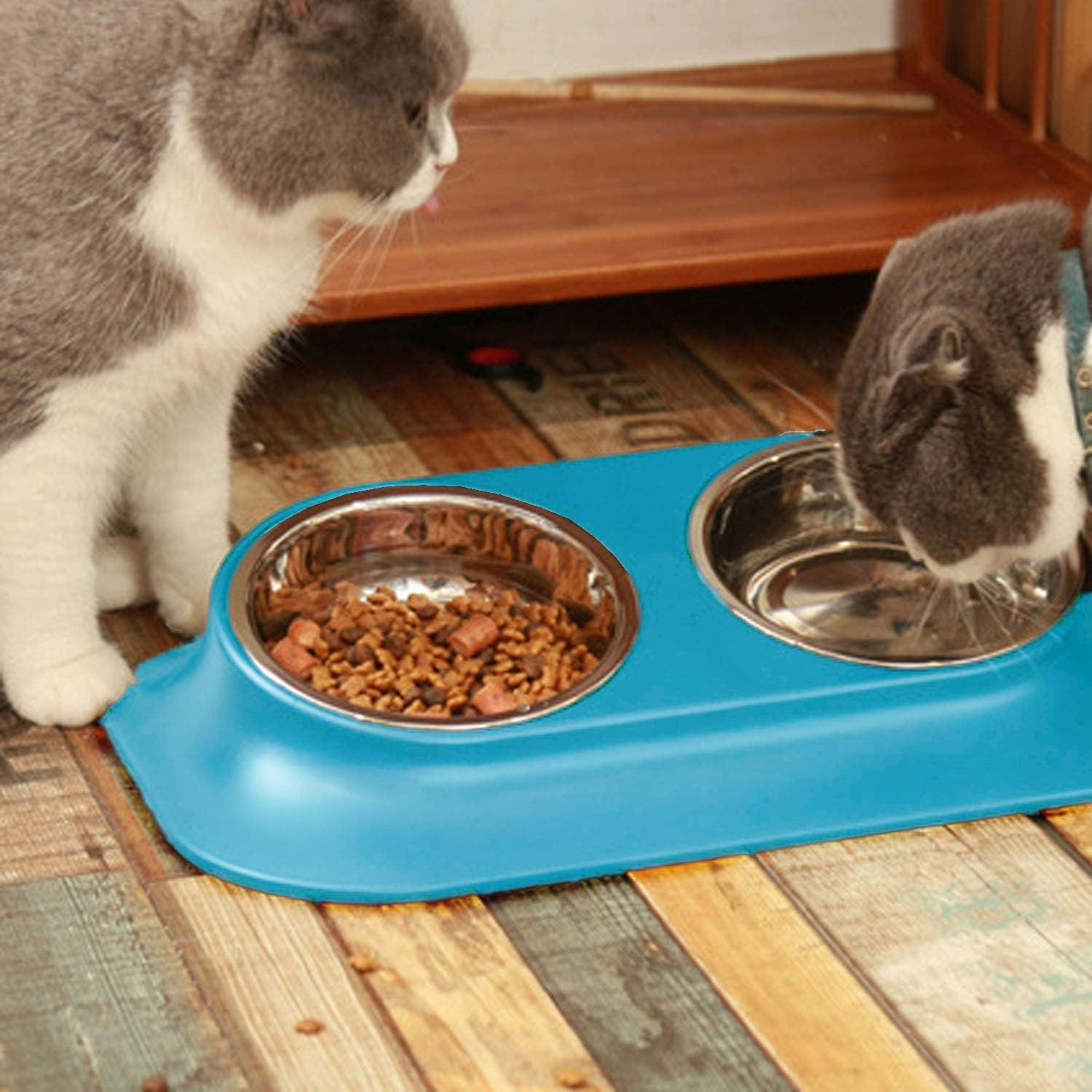 Raised Cat Bowl Pet Bowl,Stainless Steel Elevated Small Dog Bowls,15&deg;Tilted Whisker Reliefs Fatigue Free Stress anti Vomiting Cat Food Water Bowls,Non Slip Cat Feeding Bowls (Double Bowl/Blue) - Blue image number 5