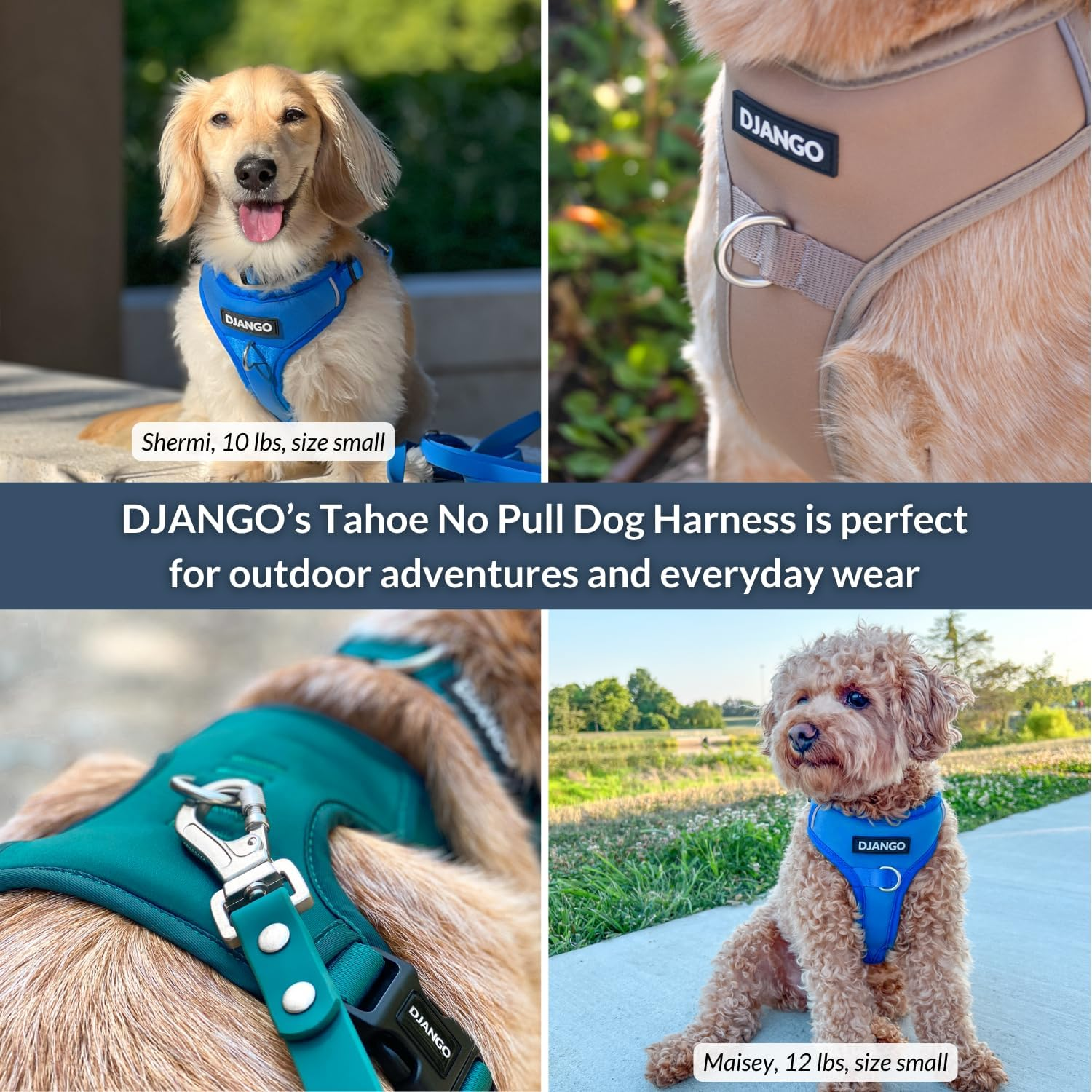 Django Tahoe No Pull Dog Harness &ndash; Comfortable, Durable, & Padded Dog Harness with Front & Back D-Rings &ndash; Adjustable & Secure Harness for Outdoor Adventures & Everyday Use (Alpine Blue, Small) image number 3