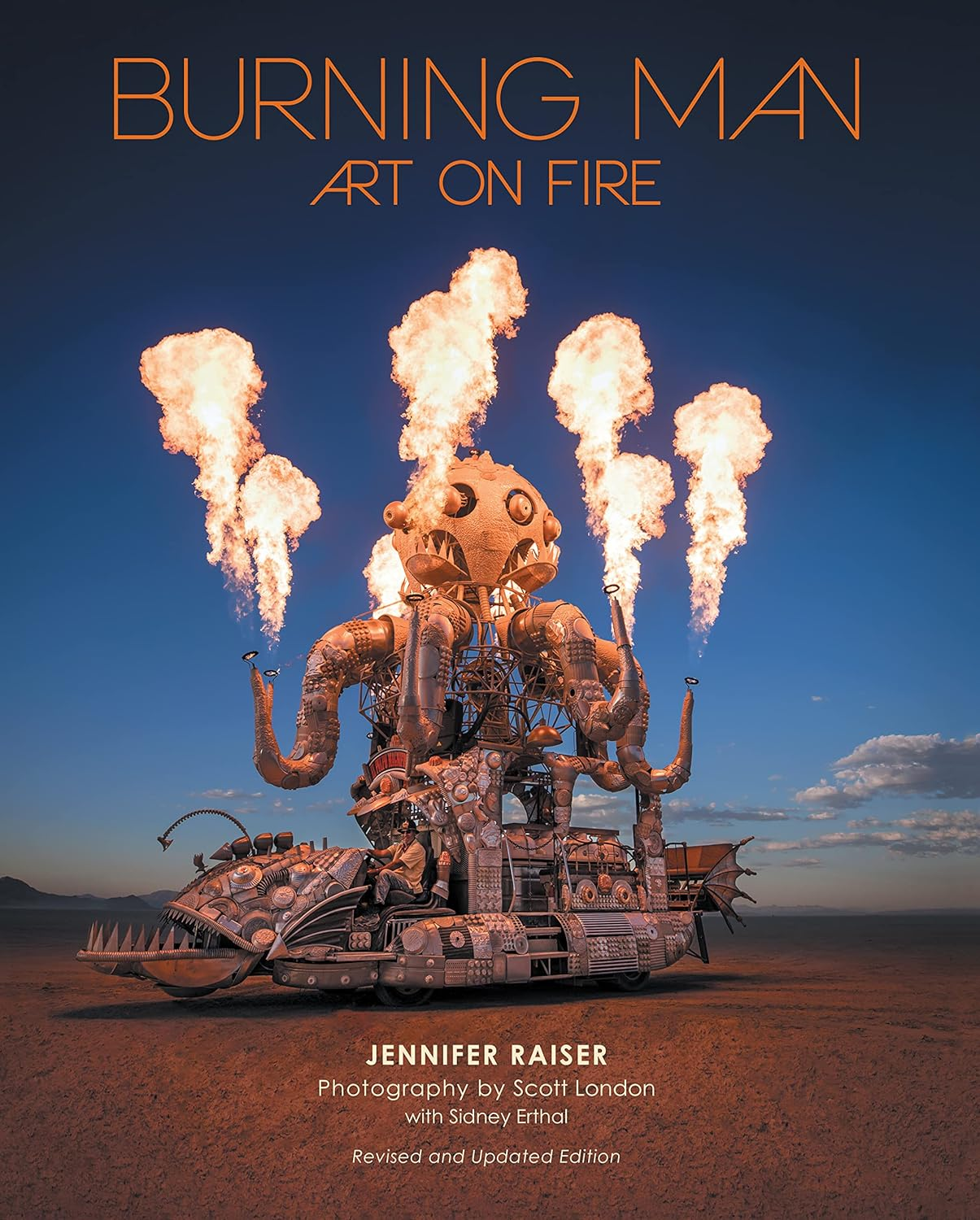 Burning Man: Art on Fire image number 3